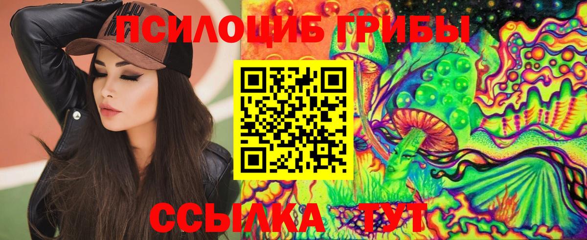 цены наркотик  Галлюциногенные грибы прущие грибы  Вход с VPN  Котлас 